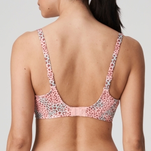LIVADI SUR SUMMER ROSE