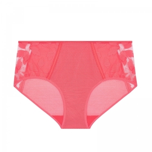 DAHLIA 222/PAPAJA
