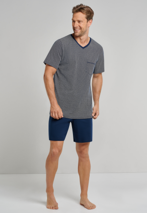  804/BLAUW