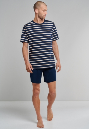  804/BLAUW