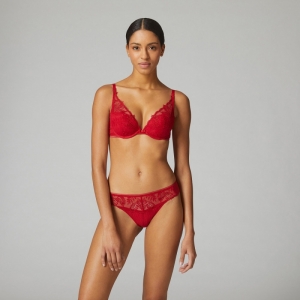 BLOOM 377/ROOD