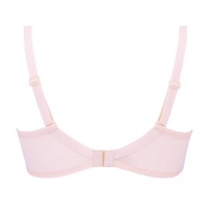 ROSE DE VENISE DV/DESIR V