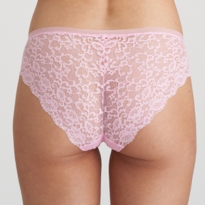 COLOR STUDIO LLR LILY ROSE