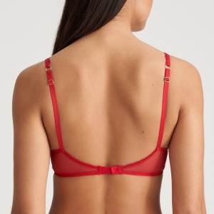 COELY STK strawberry 
