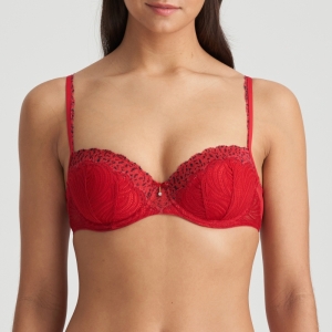 COELY STK STRAWBERRY