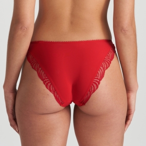 COELY STK STRAWBERRY