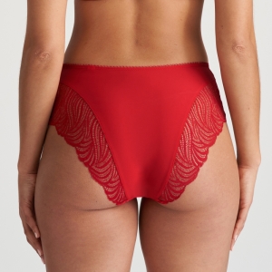 COELY STK STRAWBERRY