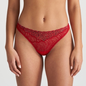 COELY STK strawberry