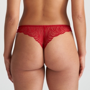 COELY STK strawberry
