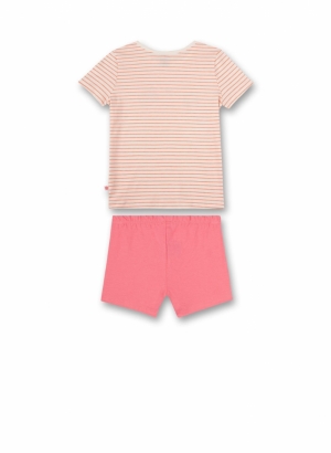  1498 CREME
