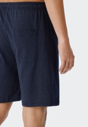  800/BLAUW
