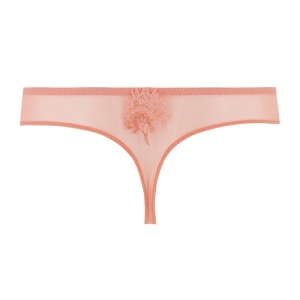 WISH 385