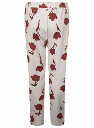DARK CORAL+CREM