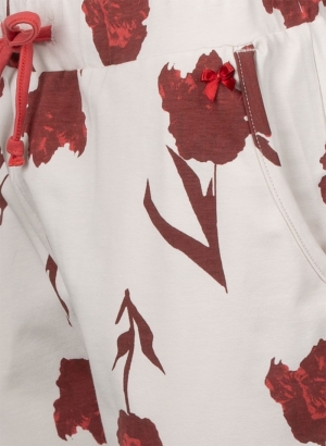 DARK CORAL+CREM