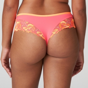 DEVDAHA TRC TROPICANA