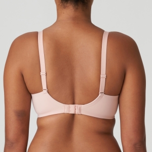 FIGURAS PWD POWDER ROSE