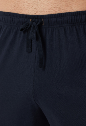  804/BLAUW
