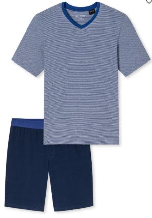  819/BLAUW
