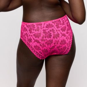 MOCUTO PXB PIXIE BLOSS